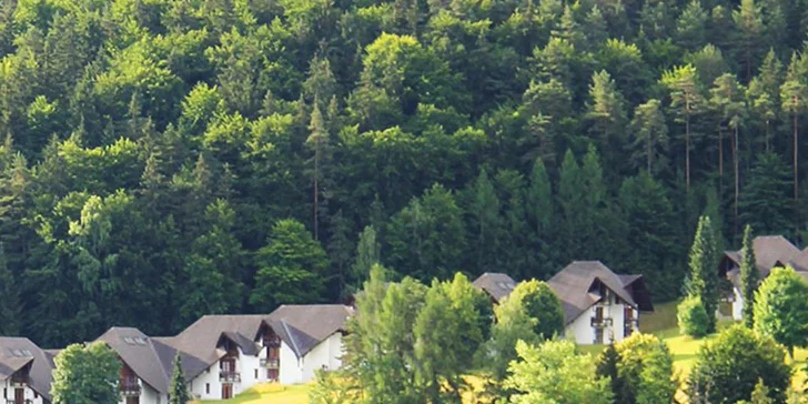 Lyžovačka a zimná dovolenka v penzióne Lindenof