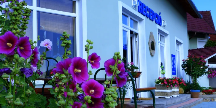 Wellness pobyt blízko jazera Hévíz: 3 nebo 7 nocí aj s polpenziou pre 2 osoby