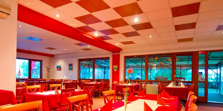 Letná dovolenka na seneckých jazerách s wellnessom vo Wellness Hoteli Relax
