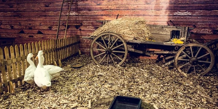 Vstupenka na výstavu AGROKOMPLEX 2016
