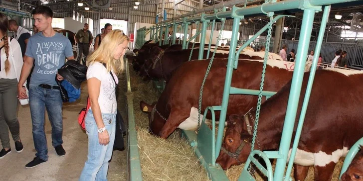 Vstupenka na výstavu AGROKOMPLEX 2016
