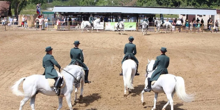Vstupenka na výstavu AGROKOMPLEX 2016