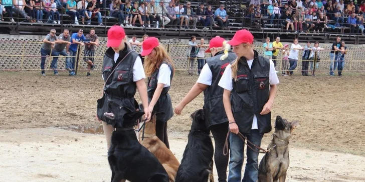 Vstupenka na výstavu AGROKOMPLEX 2016