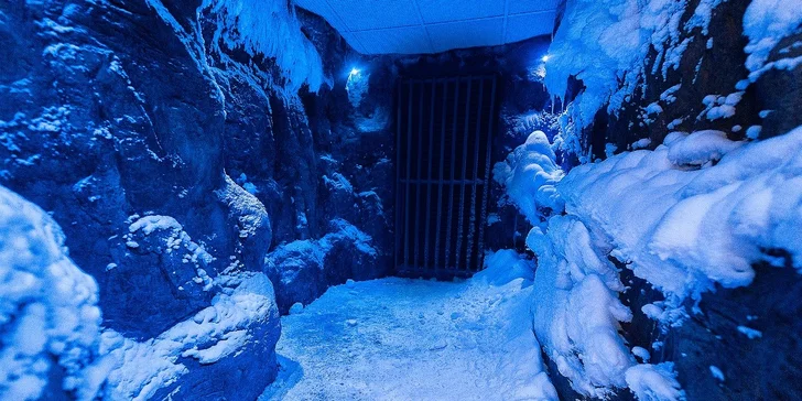 Celodenný relax v Aquaparku AquaCity Poprad alebo Wellness centre – Fire & Water Wellness & Spa