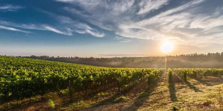 Krása zámkov LEDNICE a VALTICE aj so zábavou na vinobraní vo Valtiaciach