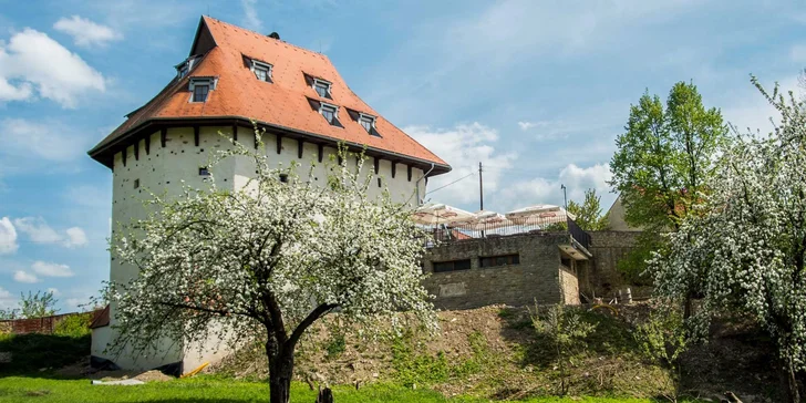 Oddych pre 2 osoby v luxusnom historickom Boutique hotel**** Pracháreň