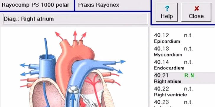 Spolu nájdeme odpoveď - Diagnostika vášho zdravia