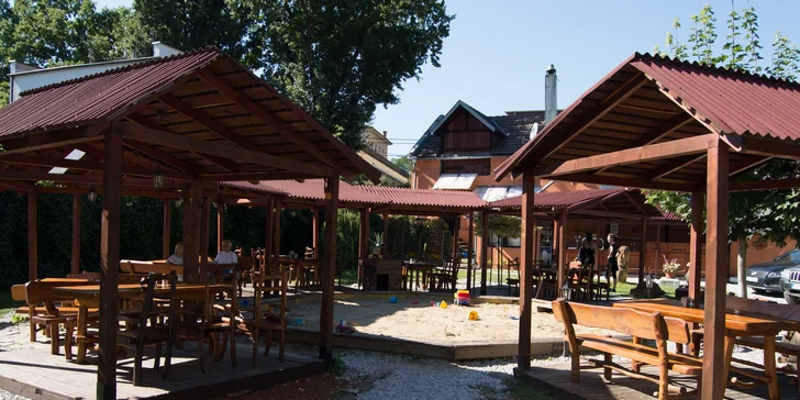 Berries burger s hranolčekmi a dresingom