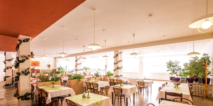 Chutné denné menu v Reštaurácii TIP TOP pre študentov.
