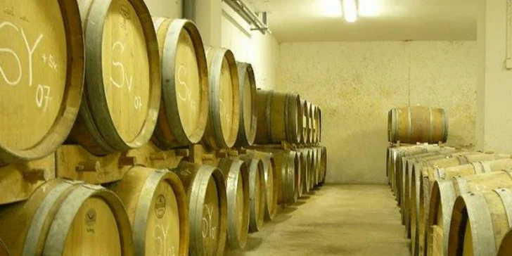 Skvelý pobyt vo vinárskej oblasti južného Slovenska