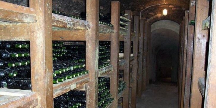 Gurmánsky pobyt vo vinárskej oblasti južného Slovenska plný oddychu a skvelého vína