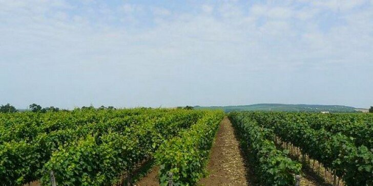 Skvelý pobyt vo vinárskej oblasti južného Slovenska