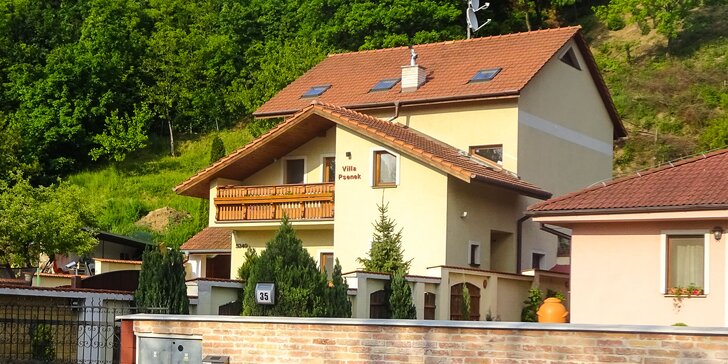 Villa Pšenek