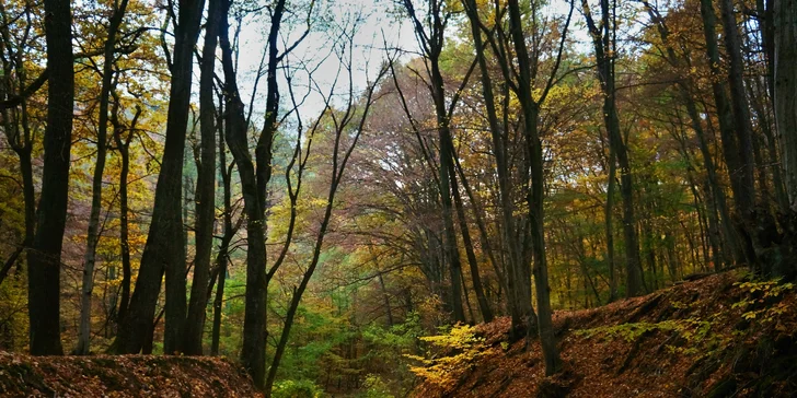 Jedinečné exteriérové dobrodružstvo! Nájdete Stratené zlato?