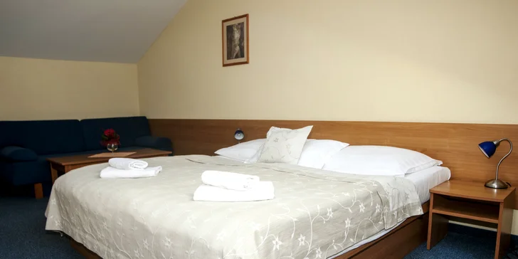 Wellness & Aquapark pobyt v Bešeňovej až s 20% - 45 % zľavou do GINO PARADISE
