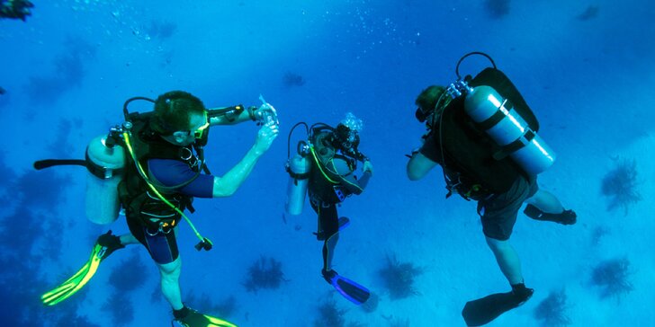 Kurzy pre potápačov - nechajte sa očariť podmorským svetom!