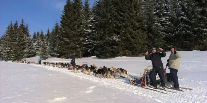 Celodenný výlet na psom záprahu alebo hodinová jazda. Zážitok na celý život!