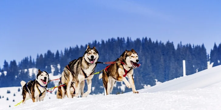 Rodinná Ski dovolenka*** na Donovaloch s wellness a neobmedzeným vstupom do vyhrievaného bazéna. Deti do 12 r. za zvýhodnených podmienok!