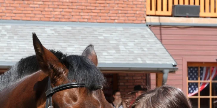 Celý deň vo westernovom mestečku TwinPigs: platnosť od mája do septembra 2017