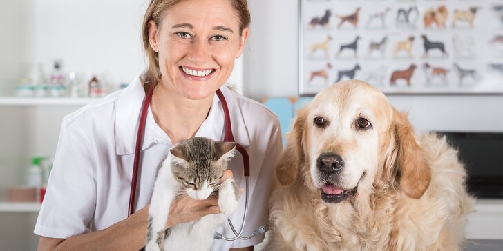 Starostlivosť o psíkov a mačičky na veterinárnej ambulancii MoniVET - dentálna hygiena aj starostlivosť o srsť