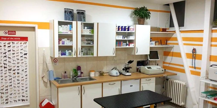 Dentálna hygiena pre psíkov a mačičky aj s klinickým vyšetrením
