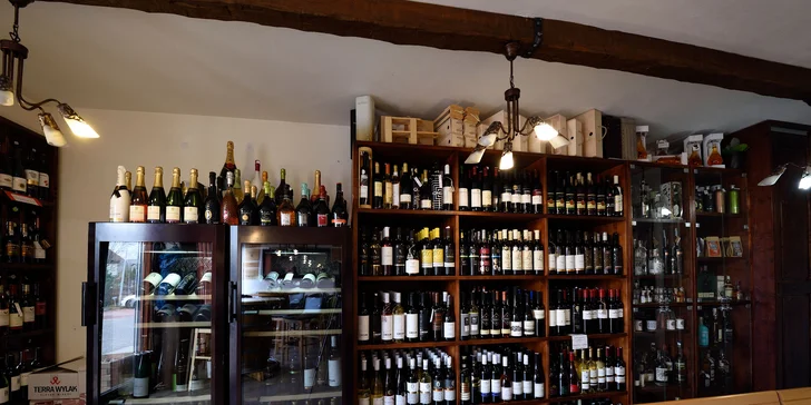 Profesionálna degustácia vín so someliérom WINE EXPERT
