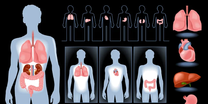 Biorezonančné testovanie potravinových intolerancií, záťaží v organizme a stavu všetkých orgánov