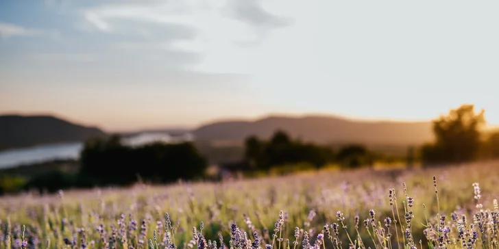 Pobyt v tichom prírodnom prostredí s krásnym výhľadom na Dunaj v Natura Hill