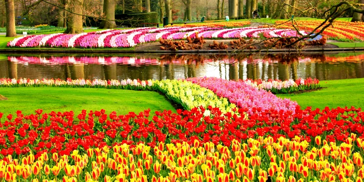 Keukenhof, Zaanse Schans, Volendam, Amsterdam s ubytovaním na 1 noc a raňajkami