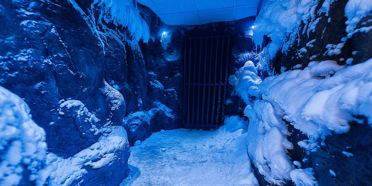 Celodenný relax v Aquaparku AquaCity Poprad alebo Wellness centre – Fire & Water Wellness & Spa