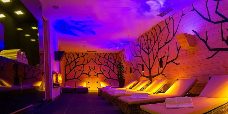 Celodenný relax v Aquaparku AquaCity Poprad alebo Wellness centre – Fire & Water Wellness & Spa