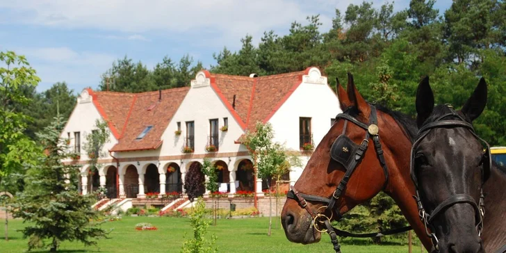 Wellness pobyt vo vidieckom štýle v Debrecíne