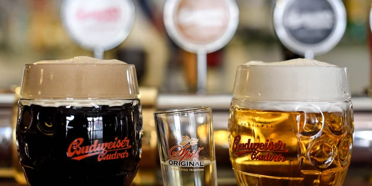 Neobmedzená konzumácia čapovaného Budvaru či dve pivá s panákom