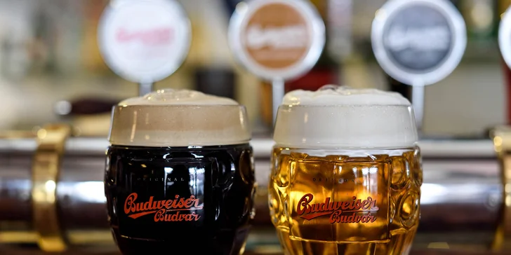 Neobmedzená konzumácia čapovaného Budvaru či dve pivá s panákom