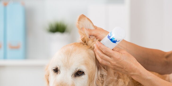 Strihanie srsti a dentálna hygiena pre psíkov