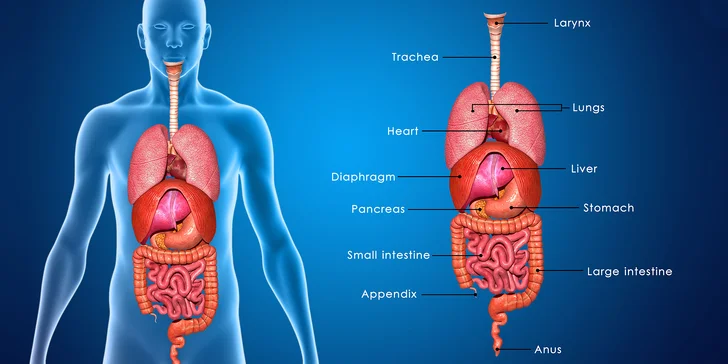 Prístrojová biorezonancia aj s diagnostikou a terapiou