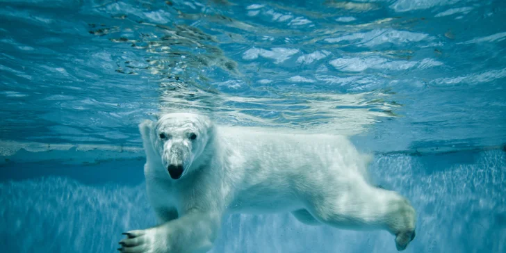 Návšteva ZOO a Oceanária v Maďarsku