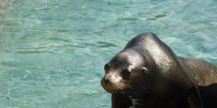 Návšteva ZOO a Oceanária v Maďarsku