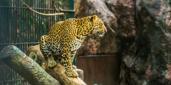 Návšteva ZOO a Oceanária v Maďarsku