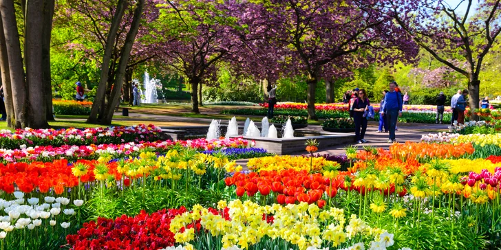 Amsterdam, výstava kvetov Keukenhof a Brusel