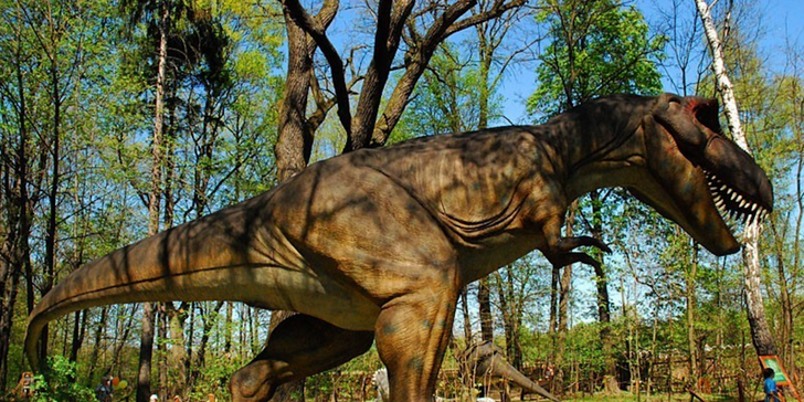 Objavovanie tatranských dinosaurov - detský tábor v DINOLANDII