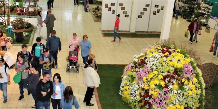 Lístok s prednostným vstupom na výstavu GARDENIA a DOMEXPO 2017