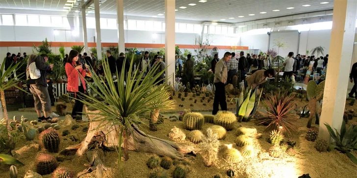 Lístok s prednostným vstupom na výstavu GARDENIA a DOMEXPO 2017