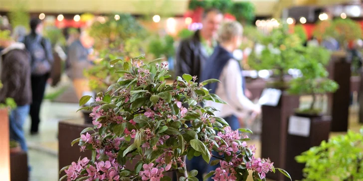 Lístok s prednostným vstupom na výstavu GARDENIA a DOMEXPO 2017