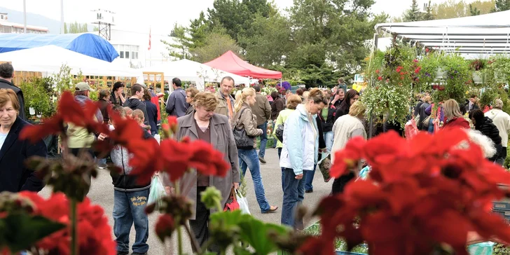 Lístok s prednostným vstupom na výstavu GARDENIA a DOMEXPO 2017
