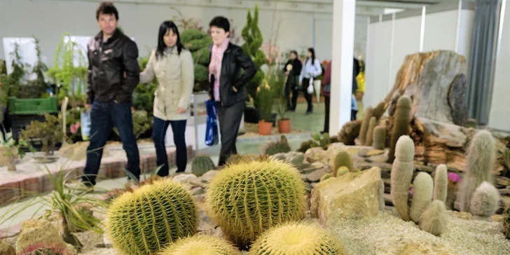 Lístok s prednostným vstupom na výstavu GARDENIA a DOMEXPO 2017