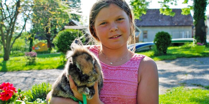 Detský tábor Letka - stretnutie detí, ktoré majú radi zvieratká a prírodu s bohatým programom a zapožičaním zajačika na celý týždeň!