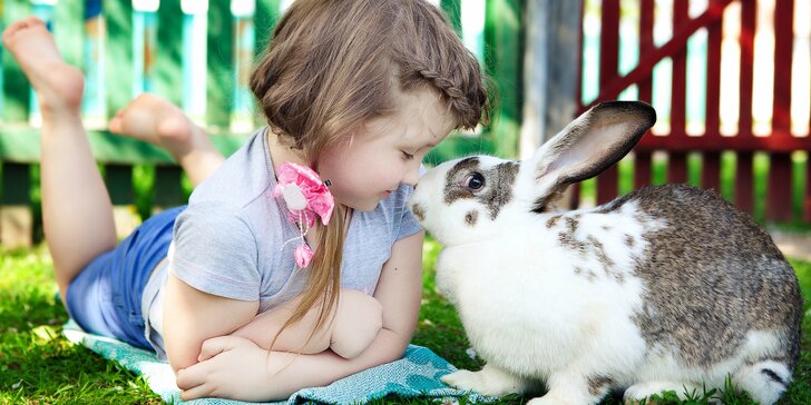 Detský tábor Letka - stretnutie detí, ktoré majú radi zvieratká a prírodu s bohatým programom a zapožičaním zajačika na celý týždeň!