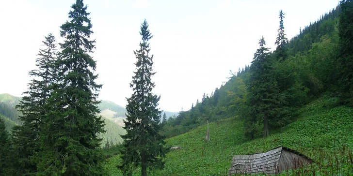 Zažite relax v Nízkych Tatrách na Chate pri potoku-Krpáčovo