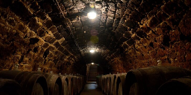 Zámok Grafenegg, ametystové polia a svet vína Loisium